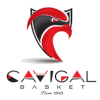 尼斯女篮logo